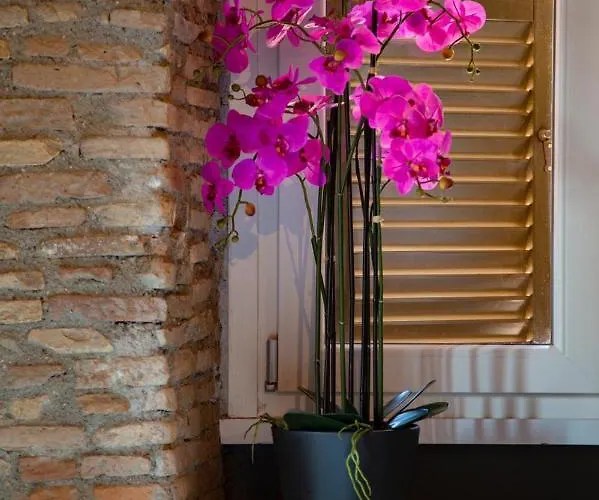 Rhome Luxury Roma