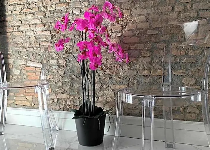Rhome Luxury Roma